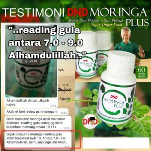 testimoringa2